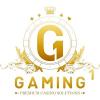 Восходящая звезда ПО - Gaming1