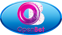 Известный разработчик в сфере интернет-гейминга - OpenBet Technologies Ltd